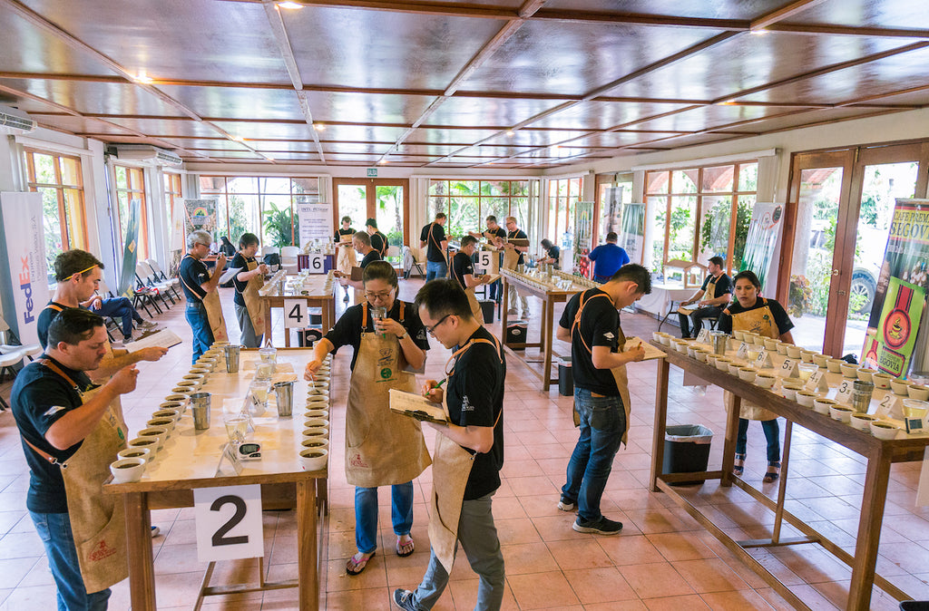 Cuppers qui se chargent de sélectionner les meilleurs cafés du Nicaragua lors de la Cup of Excellence