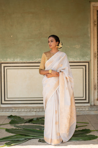 How to Choose a Wedding Banarasi Saree - Rena Ivory Silk Tissue Banarasi Saree