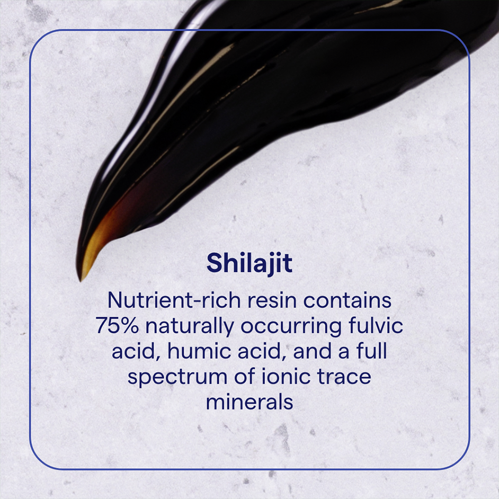 Shilajit-harts