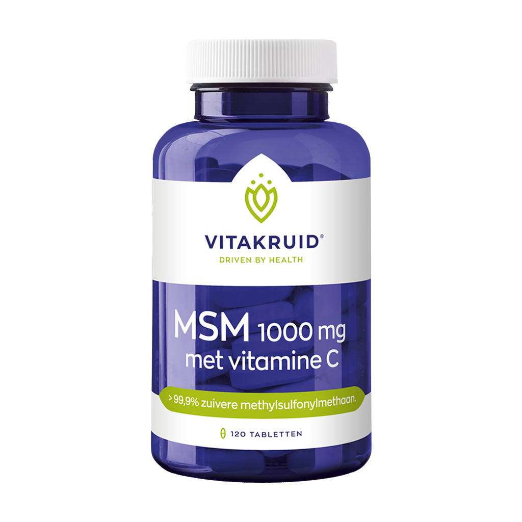 vitakruid msm 1000 mg 1