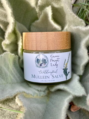 Green Forest Lady Mullein Salve