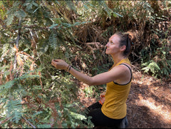 Green Forest Lady Foraging