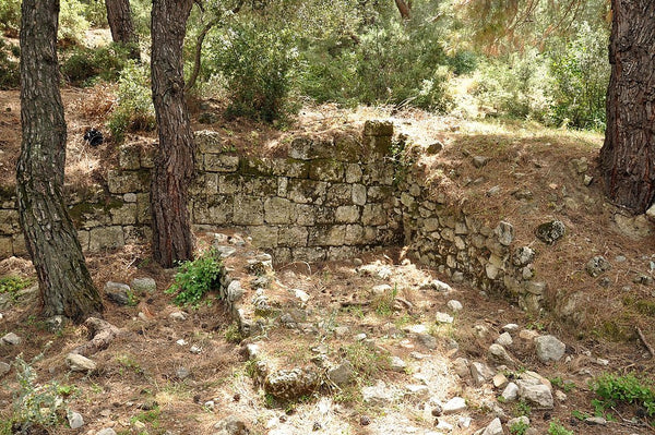 Colophon Antique City ruins