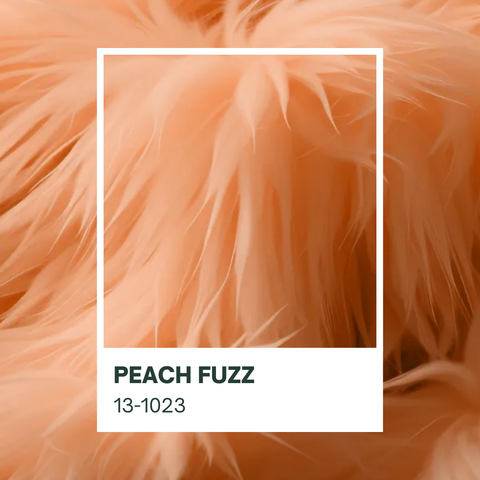 2024 Pantone Color of the year is Peach Fuzz.
