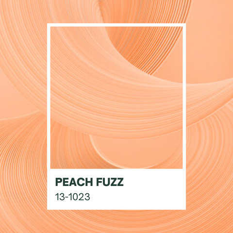 2024 Pantone color of the year, peach fuzz