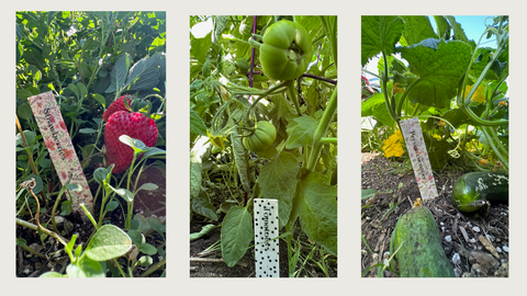 This DIY garden markers made from washi tape, will add some colorful blooms to your garden.