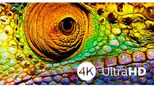 Philips 55 inch Android Smart Mini LED TV -4K - Ambient Light, 55PML9507