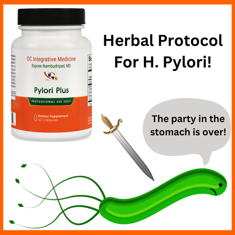 herbal protocol for H. pylori