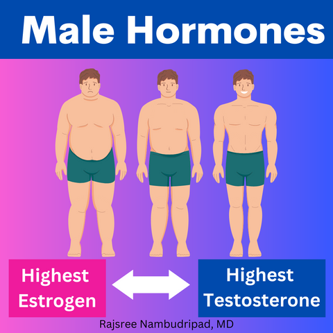 Male Hormones