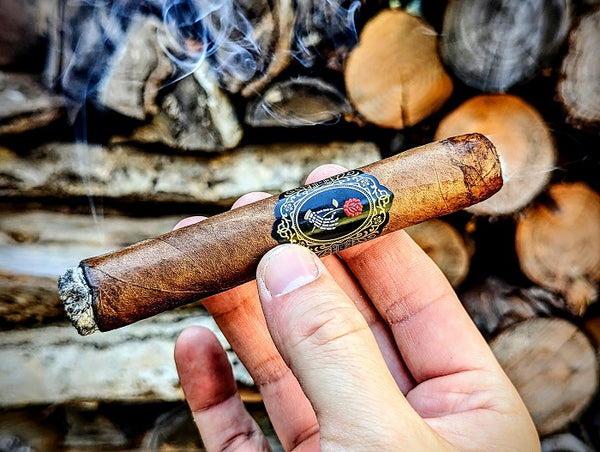 Dapper La Madrina Habano Review