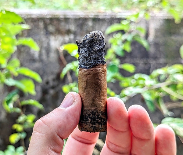 Blackbird Cigar Co. "Glitch Claro"