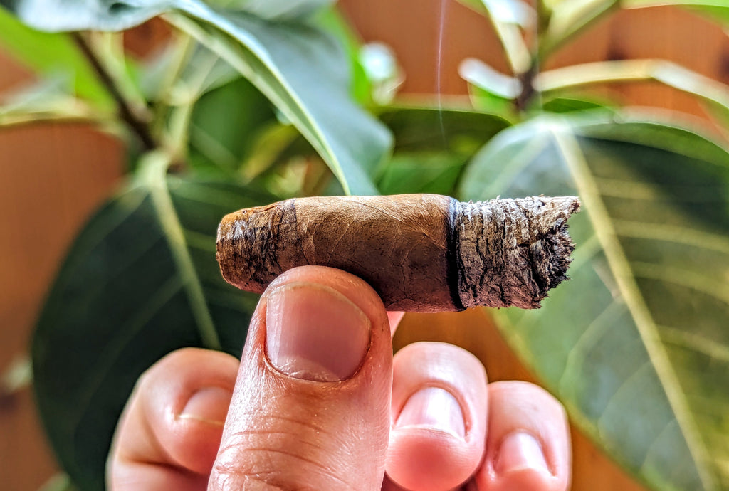 Rojas Cigars "Breakfast Tacos Connecticut" Review