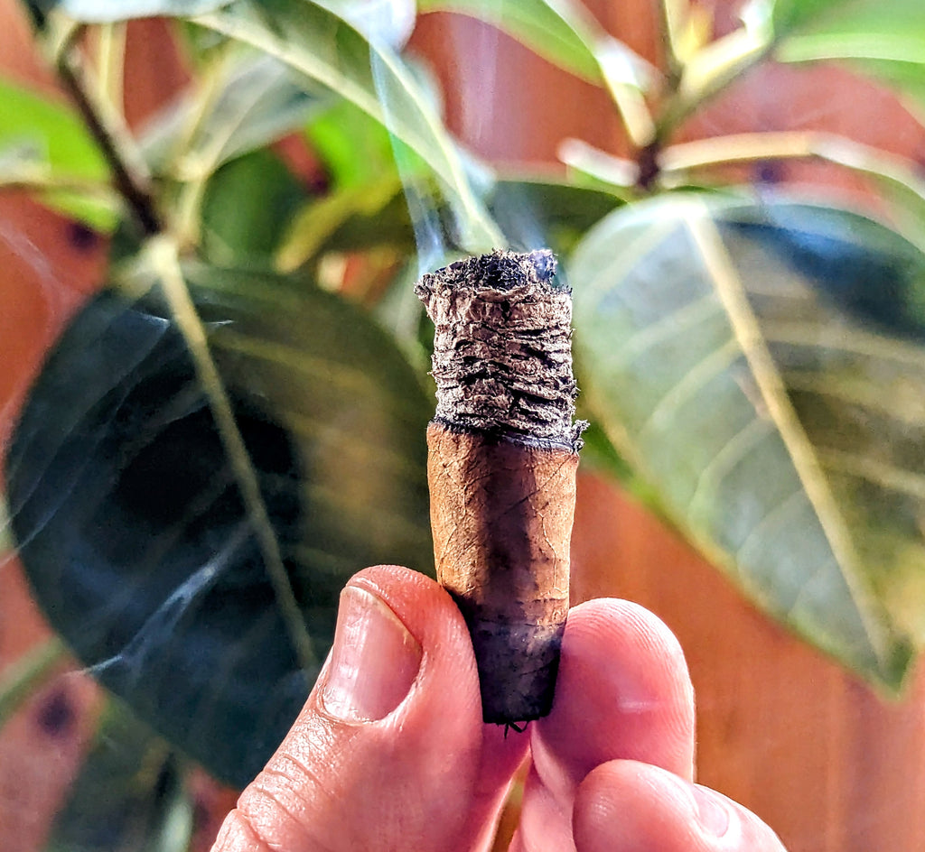 Rojas Cigars "Breakfast Tacos Connecticut" Review