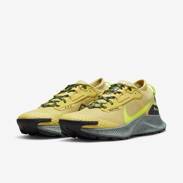 Nike Pegasus 3 GORE-TEX – melzoo