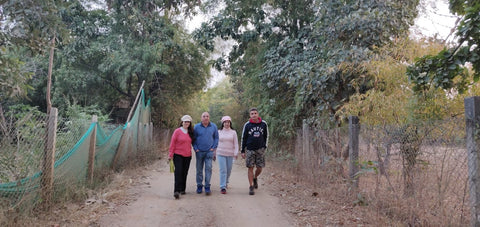 Group of people walking through a forest