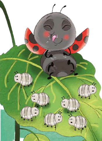 Ladybugs are a natural 'pesticide' 