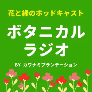 ボタニカルラジオ:植物ポッドキャストfrom京都