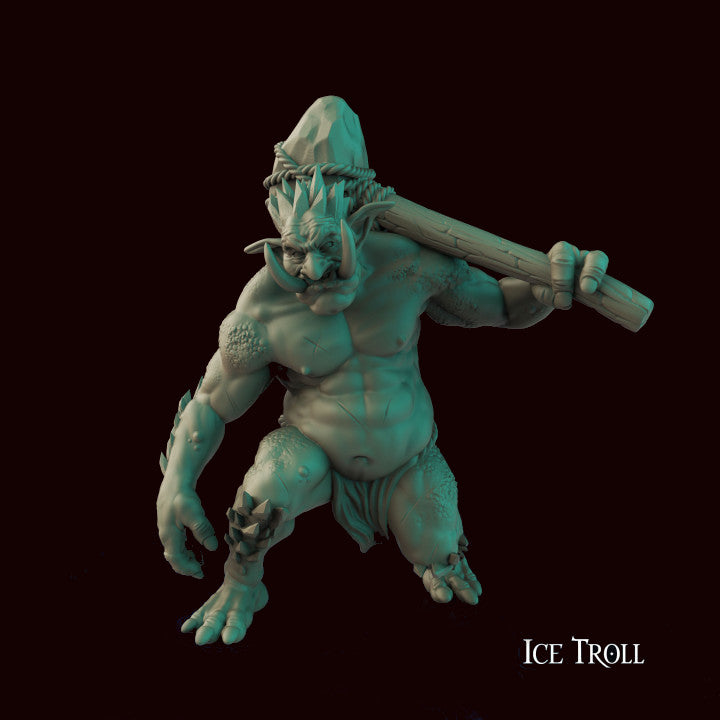 Ice Troll \ 28-32mm Fantasy Miniature \ D&D \ Warhammer \ Crippled God