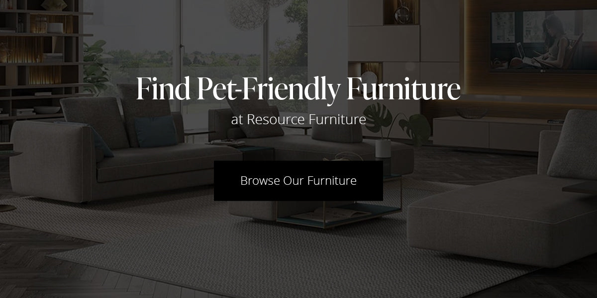 Find Pet-Friendly Furniture at Resource Furniture