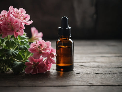 Sweet scented geranium essential oil