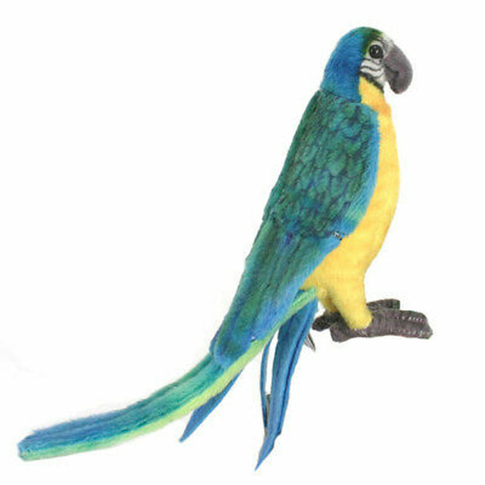 hansa macaw