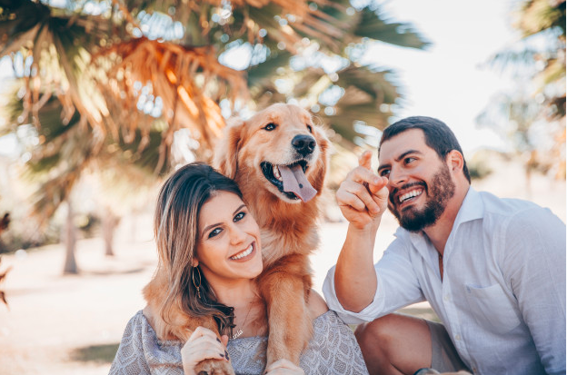 5 Mind Blowing Benefits of Holistic Pet Care