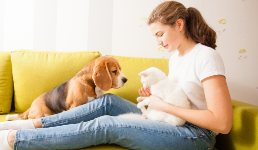 Top Tips for Managing a Multi-Pet Household