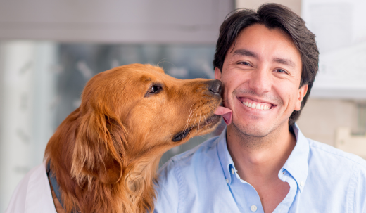 Does a Dog Lick You Because They Love You?