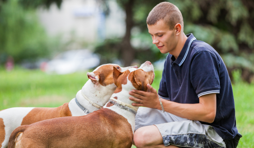 Should You Look Your Dog In The Eyes?