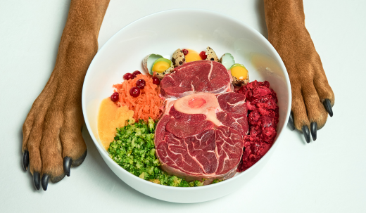 The Benefits of Fresh Food for Dogs: A Complete Guide