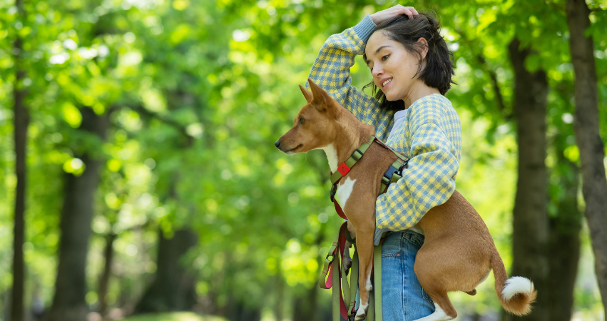 Pros and Cons of Dog Parks