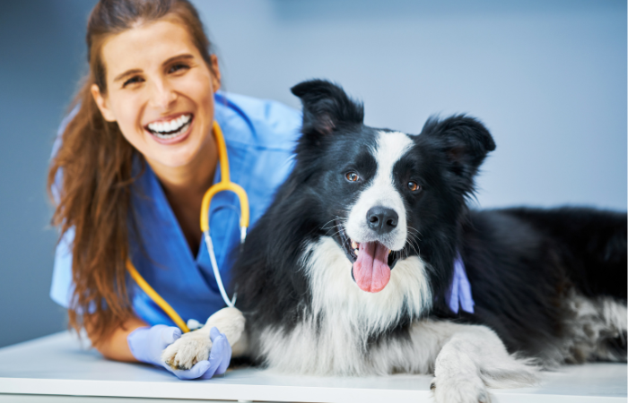 The Importance of Deworming Your Pets