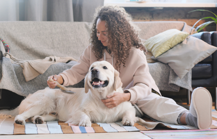 How to Show Your Furry Friend Love and Encouragement