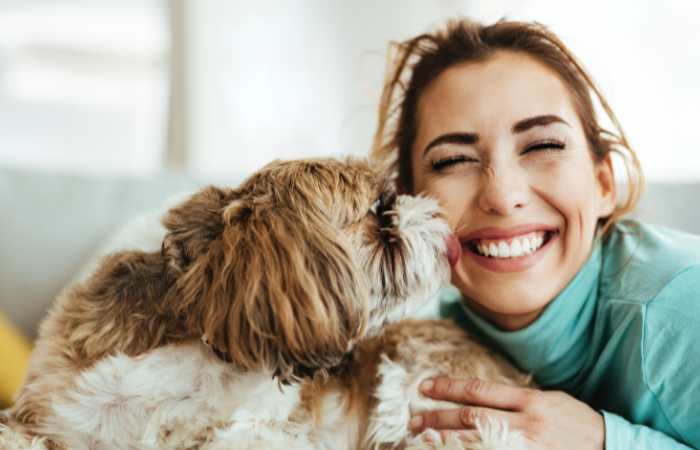 How to Show Your Furry Friend Love and Encouragement