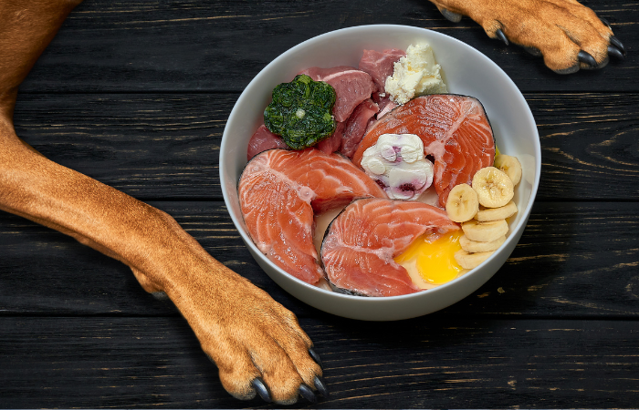 Simple Ways to Increase Fiber in Your Dog's Diet