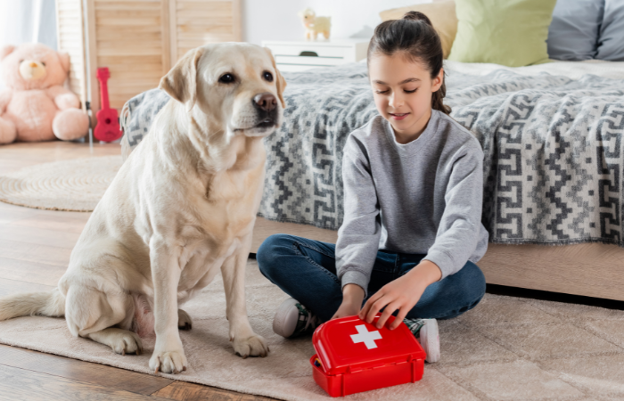 A Dog Owners Guide to Canine First Aid Care