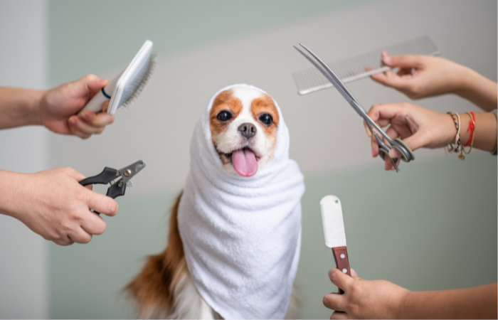 Easy Steps for Successful Dog Grooming at Home