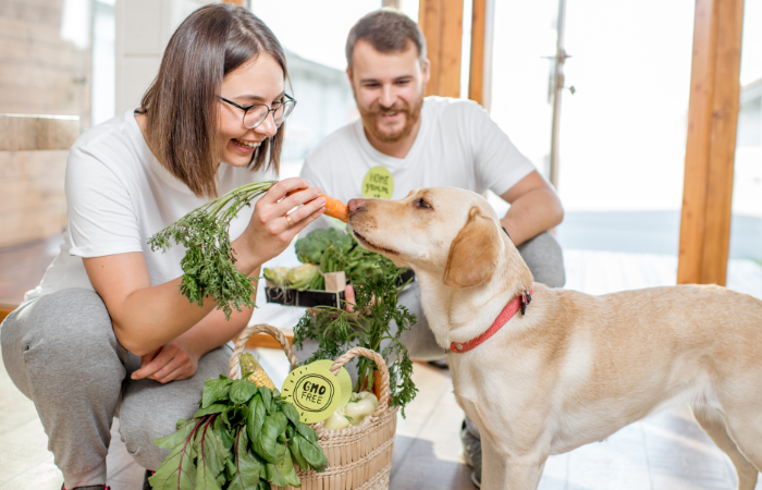 Unlock the Keys to Balanced Nutrition at Each Life Stage For Dogs