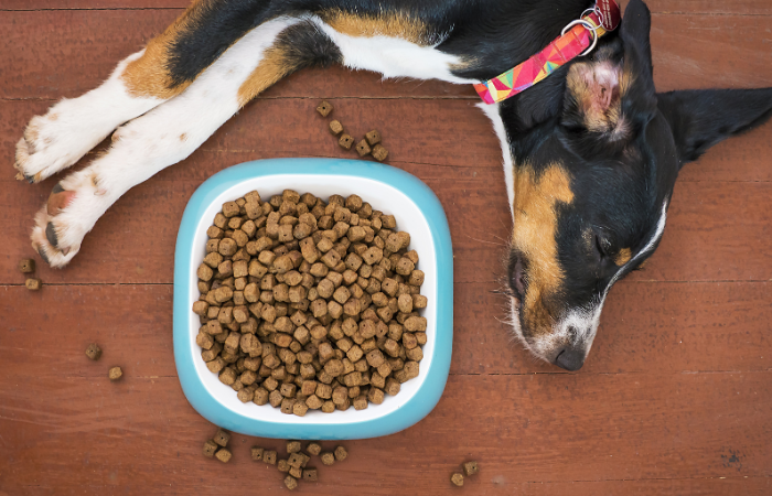 Is Dehydrated Dog Food Safe?