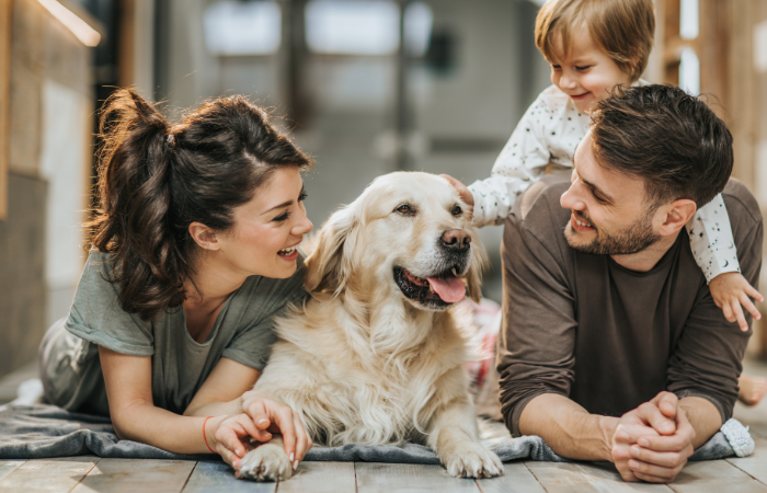 Common Mistakes that Pet Parents Make: How to Avoid Them and Raise a Happy, Healthy Pet