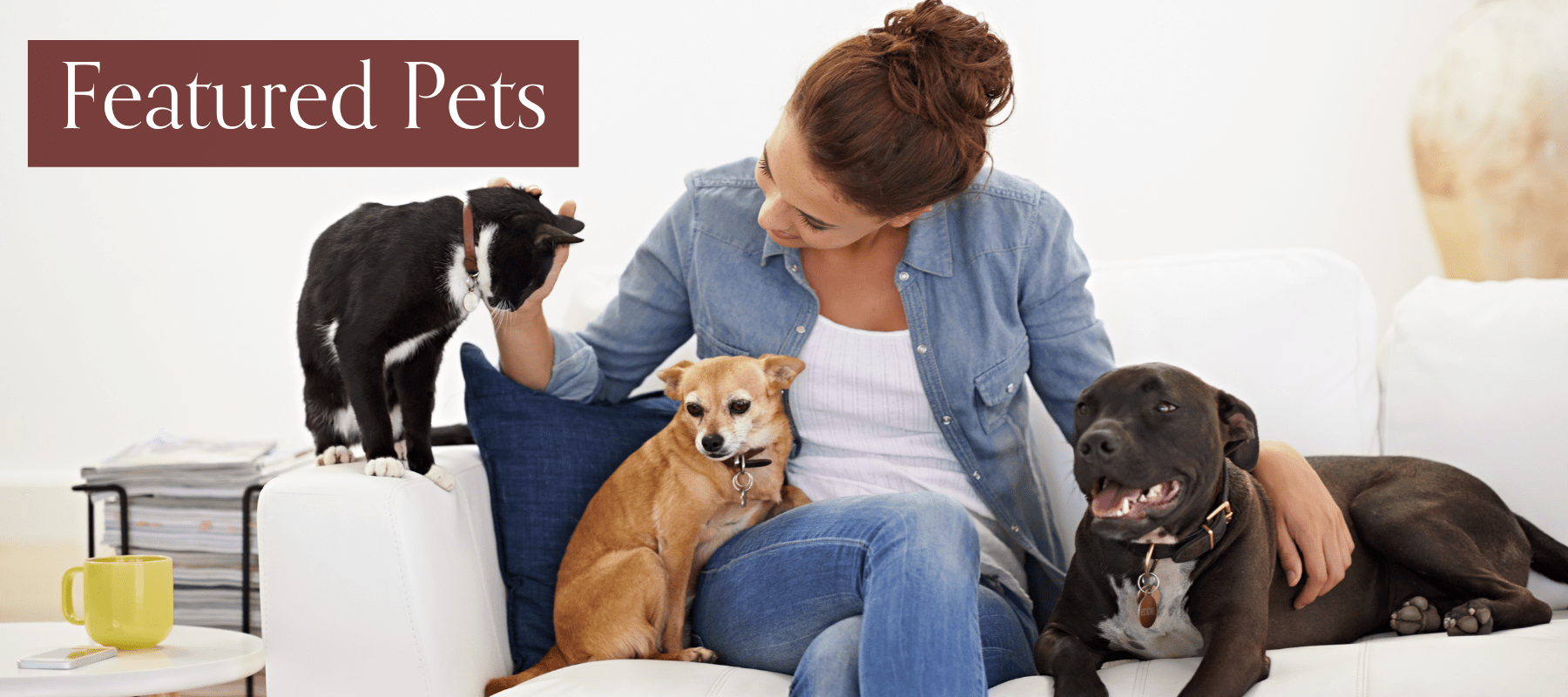 Featured Pet Stories