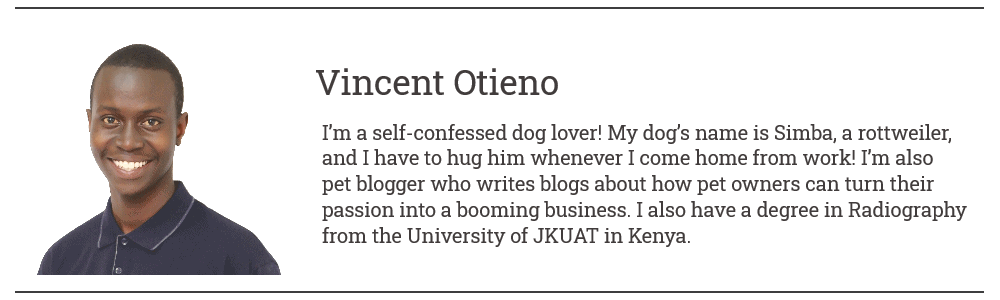 Author bio - Vincent Otieno