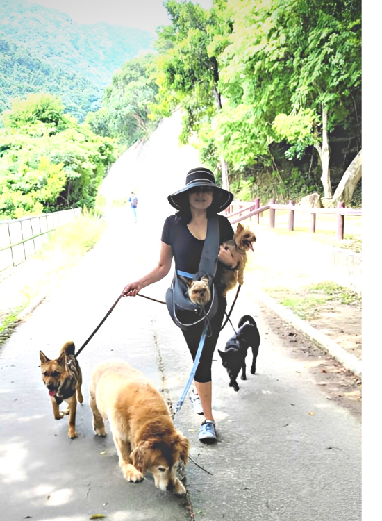 Nita Daryanani Walking her Dogs