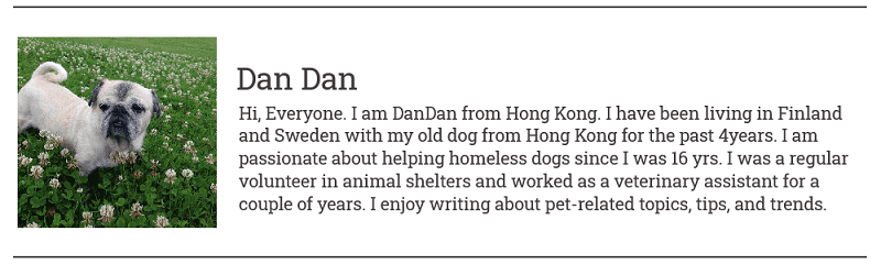 Author Bio - Dan Dan