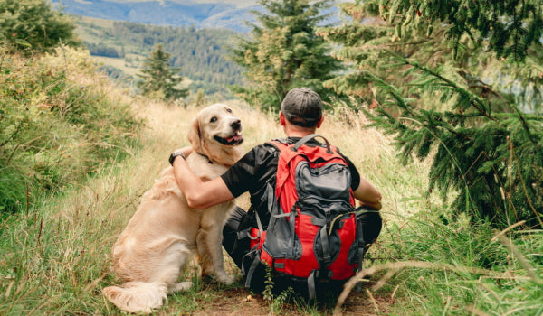 How to Prepare for a Camping Trip With your Dogs