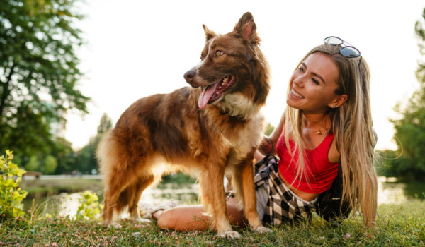 Reasons Why Dogs Become Protective of Their Owner