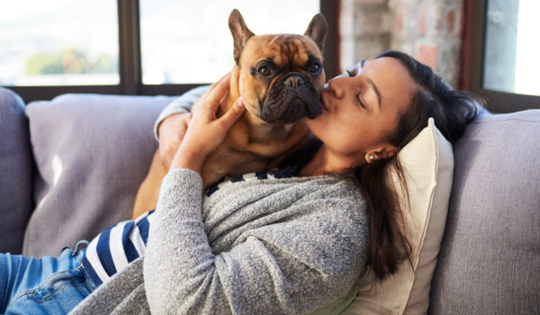 Reasons Why Dogs Become Protective of Their Owner