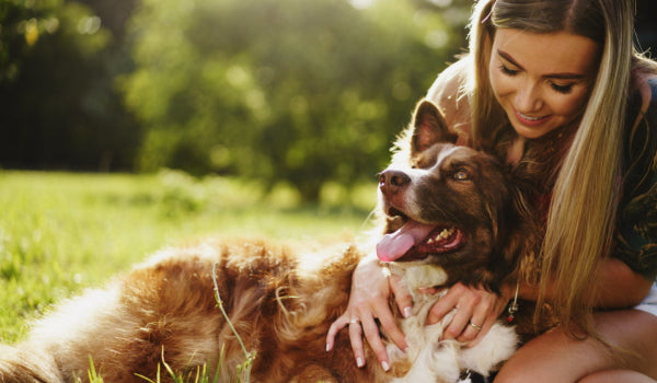 Reasons Why Dogs Become Protective of Their Owner