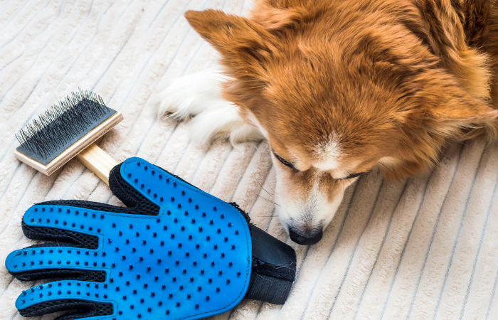 How to Reduce Shedding in Dogs: A Comprehensive Guide