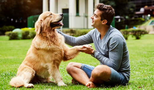 The Incredible Power of Dog Bonding with Humans